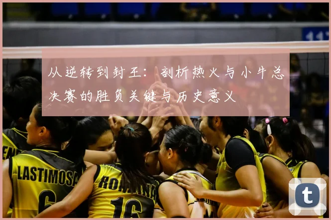 从逆转到封王：剖析热火与小牛总决赛的胜负关键与历史意义
