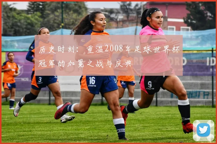 历史时刻：重温2008年足球世界杯冠军的加冕之战与庆典