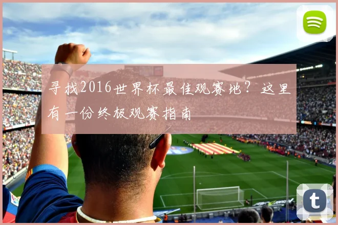 寻找2016世界杯最佳观赛地？这里有一份终极观赛指南